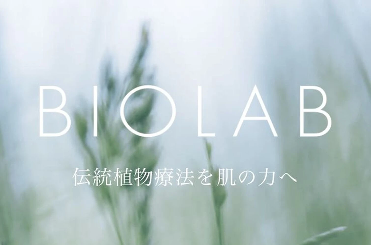 ブログ