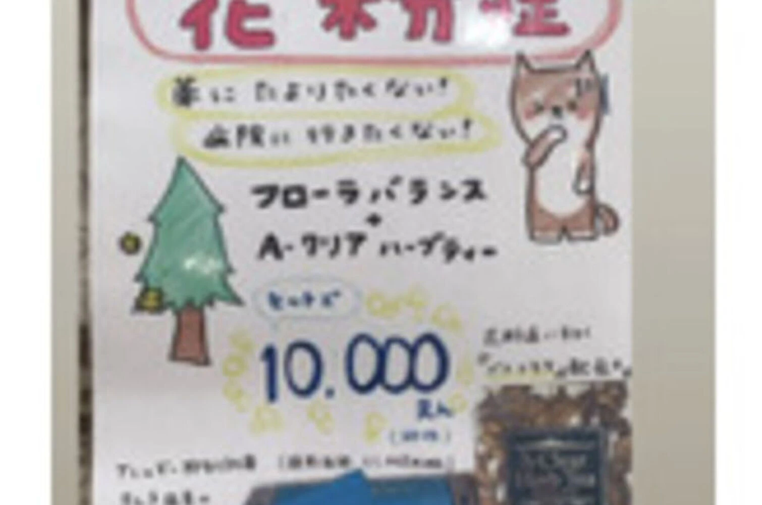 ブログ